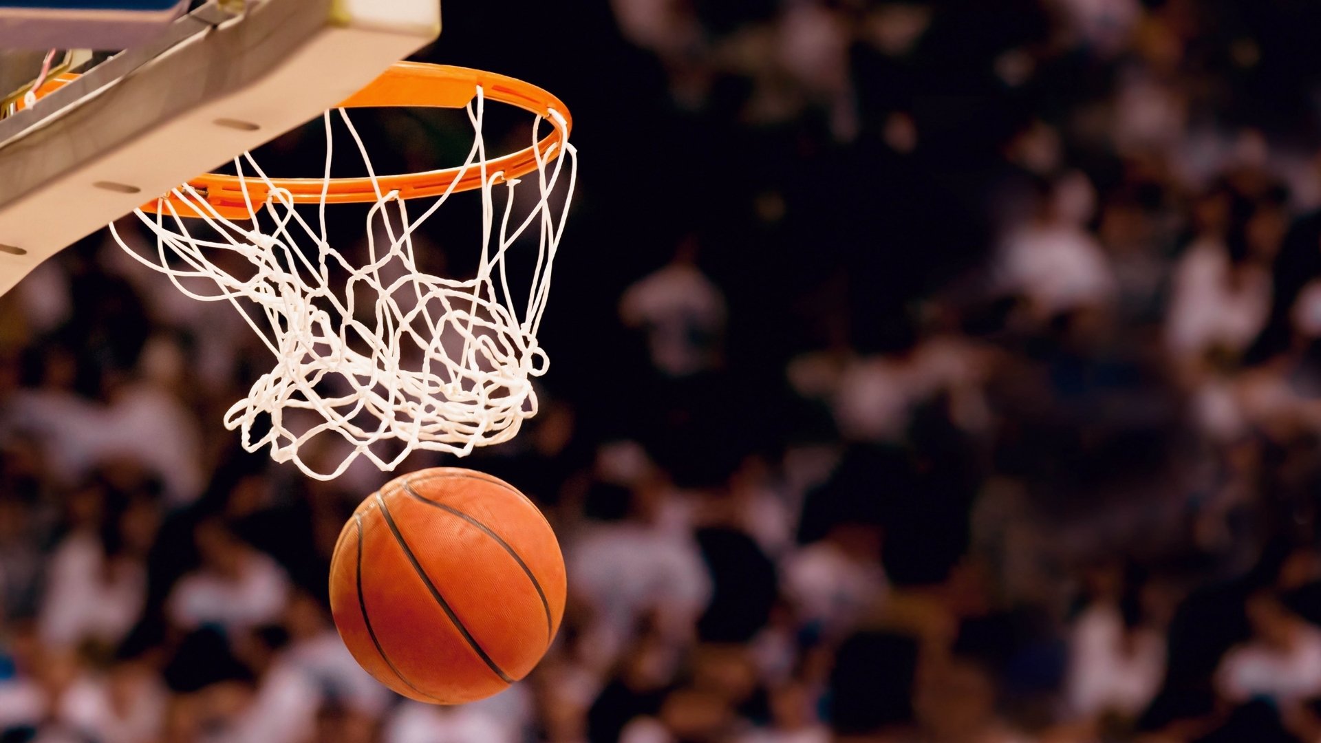 开云世界杯2026-唯一剧本，德容风暴席卷高卢雄鸡，葡萄牙闪电战缔造E组经典
